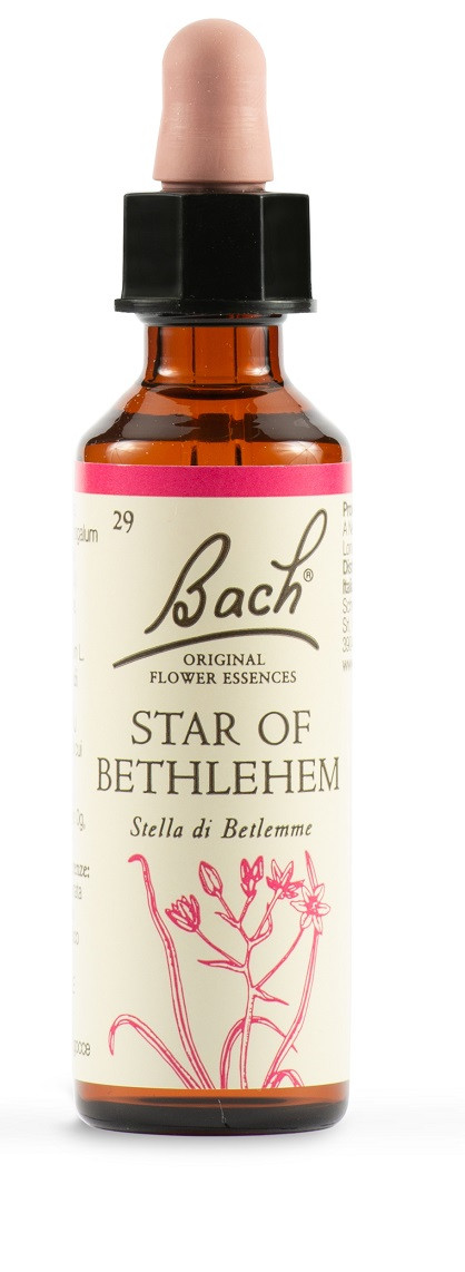 Star of bethl orig 20ml