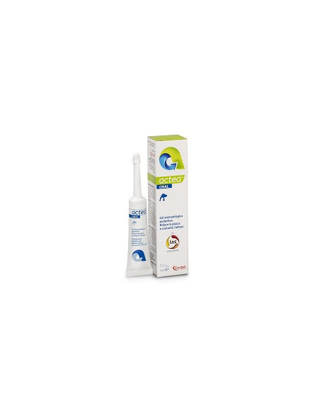 Actea oral gel stomatolog 15ml