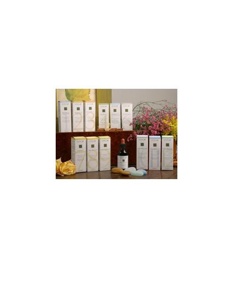Zef11 calma plant stv