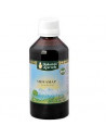 Vidyamap sciroppo 200ml