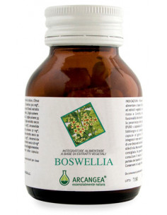 Boswellia 60cps