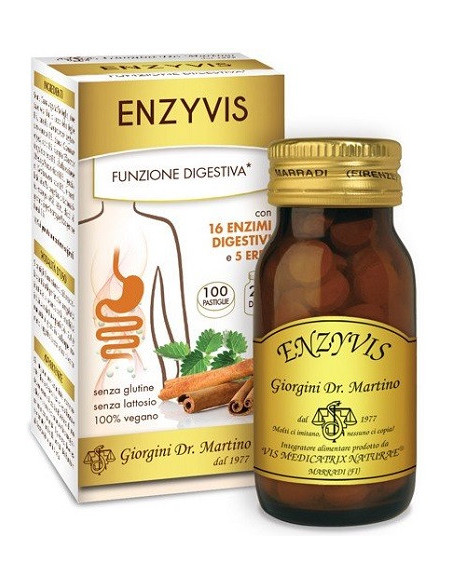 Enzyvis 100 pastiglie giorgini