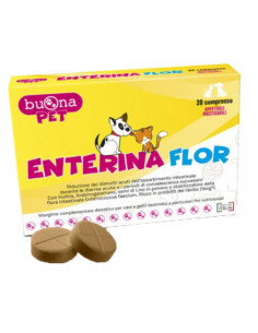 Enterina flor 20cpr