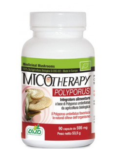Micotherapy polyporus 90cps