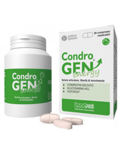 Condrogen energy 90cpr mastic