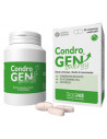 Condrogen energy 90cpr mastic