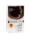 Bionike shine on capelli castano dorato 4.3