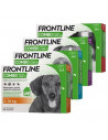 Frontline combo 3pipette cani da 2-10kg