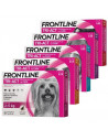 Frontline combo spoton g*6 pip