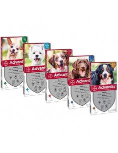 Advantix spot on*4pip 4-10kg