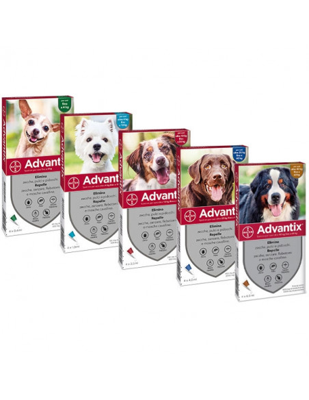 Advantix spot on*4pip 4-10kg