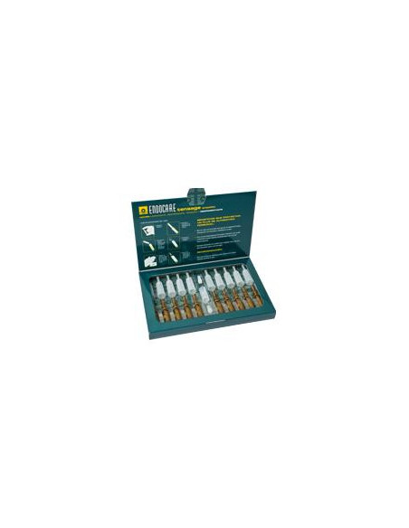 Endocare tensage ampolle 10x2