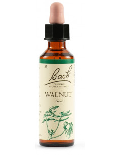 Walnut fiori di bach original 20ml