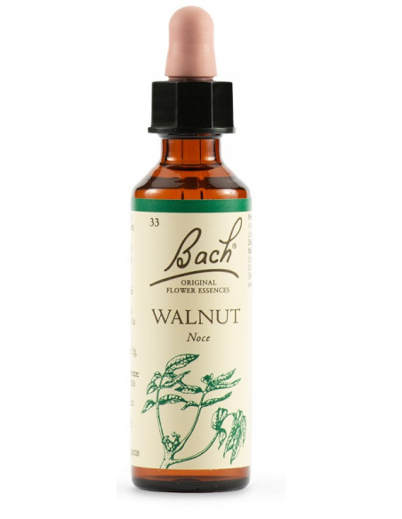Walnut fiori di bach original 20ml