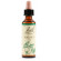 Walnut fiori di bach original 20ml