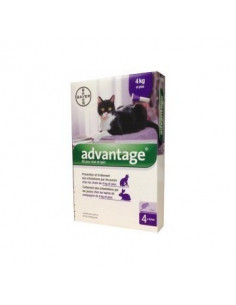 Advantage 4pip 0,8ml spoton