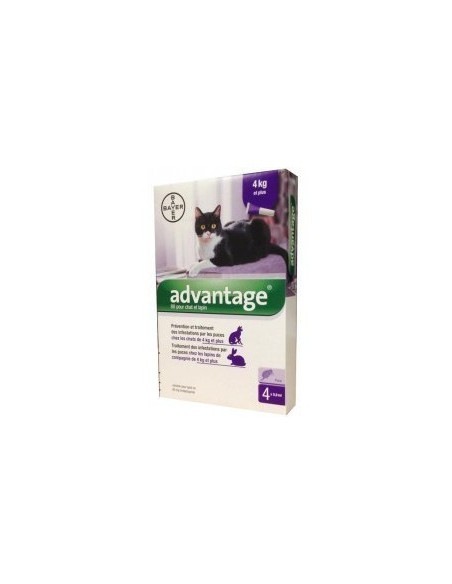 Advantage 4pip 0,8ml spoton