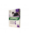 Advantage 4pip 0,8ml spoton