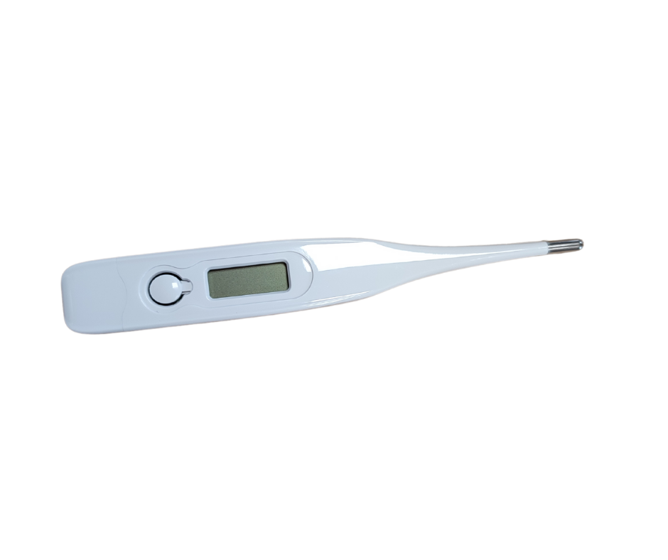 Image of Termometro digitale seyjoy 1 pezzo cod085