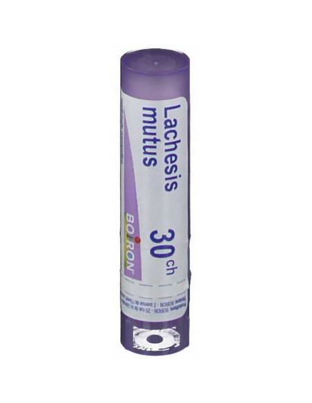 Lachesis mutus 30ch gr