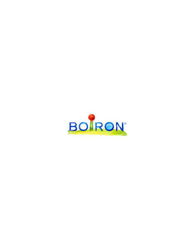 POUMON HISTAMINE 15CH GR