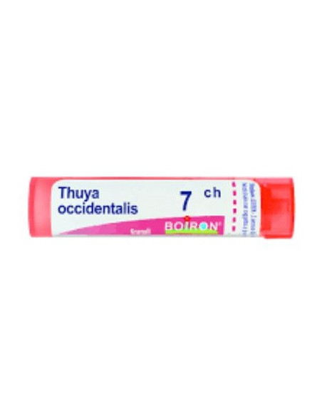 Bo.thuya occ.7ch dose
