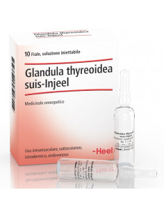Glandula thyre suis inj 10f he