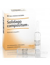 Solidago comp 10f 2,2ml heel