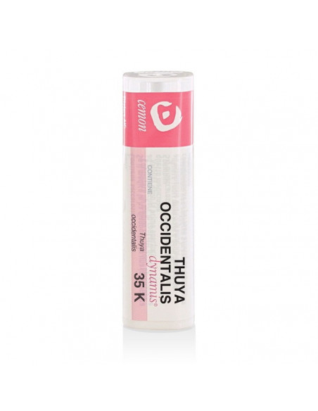 Thuya occident 35k gr