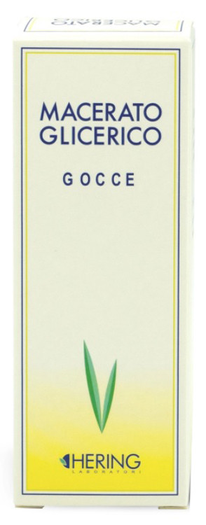 Image of Tilia tom gemme 60ml mg cod085