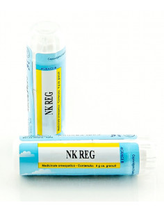 Nk reg gr 4g