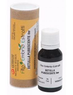 Fee betulla pubescente 15ml