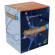 Neurotrofin-1 20 bustine 3g