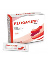 Flogasine 20bust