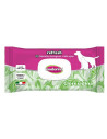 Inodorina salviette refresh cl