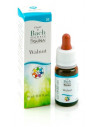 He.walnut gun gocce 10ml f.bach