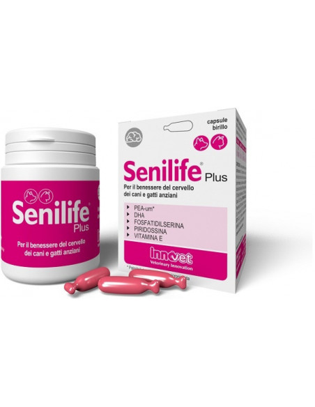 Senilife plus 60 capsule