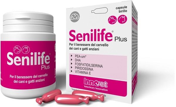 Senilife plus 60cps