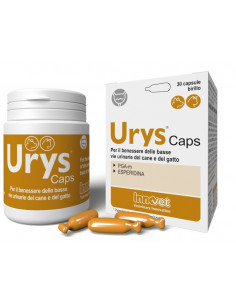 Urys caps 30 capsule
