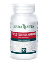 Fucus 60 capsule 500mg erbavita