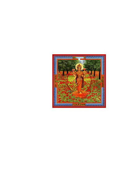 Triphaurum 30ml gocce aurum