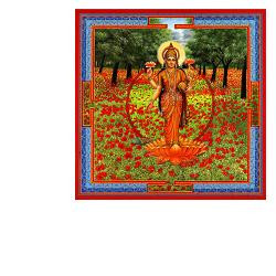 Image of Triphaurum 30ml gtt aurum cod085