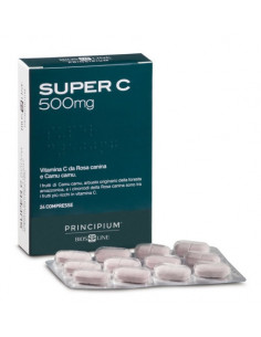 Principium super c 500 24cpr