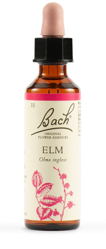 Elm fiori di bach original 20ml
