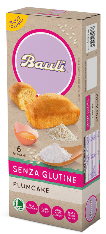 Bauli plumcake 6x35g