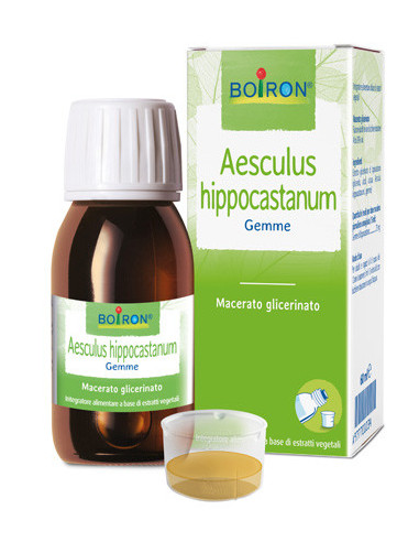 Bo.aesculus hip mg 60ml int