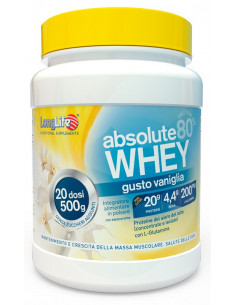 Absolut whey van 500  phoenix
