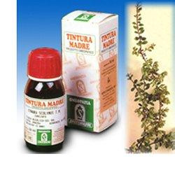 Image of Uva ursina 50ml tm specchiasol cod085