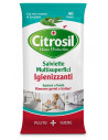 Citrosil salviette igien eucal