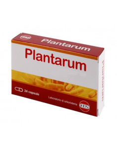 Plantarum 10mld 24 capsule - KOS | Clubfarma